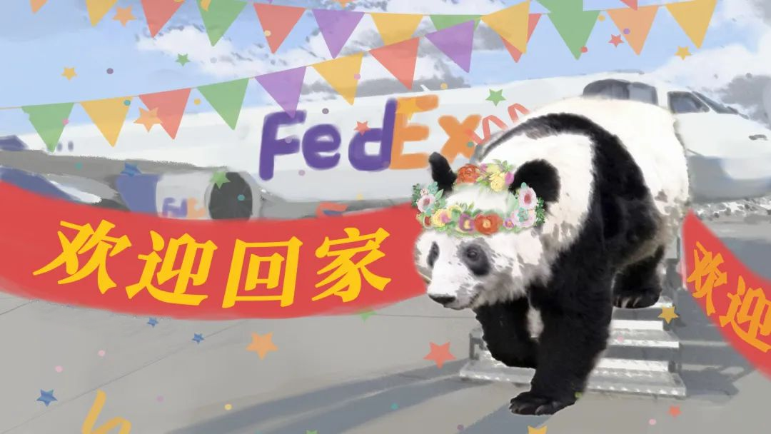 https://delicdn.delilegal.com/ueditor/d31e45b5b112ff4b53384a98ac657a24/丫丫.png 丫丫.png